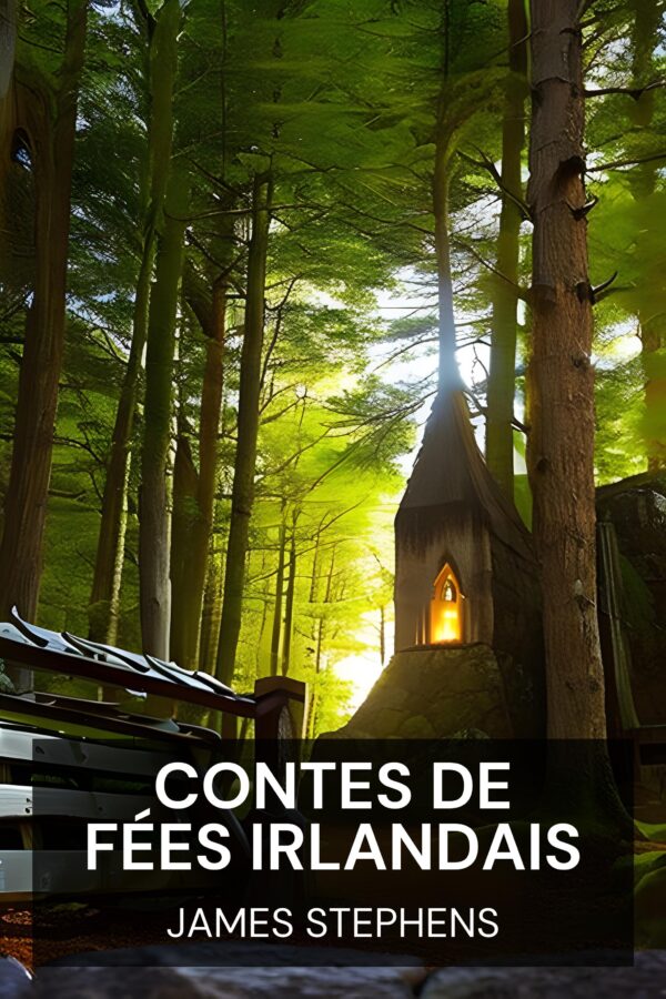 Contes de fées irlandais - James Stephens (Irish Fairy Tales - Francais)