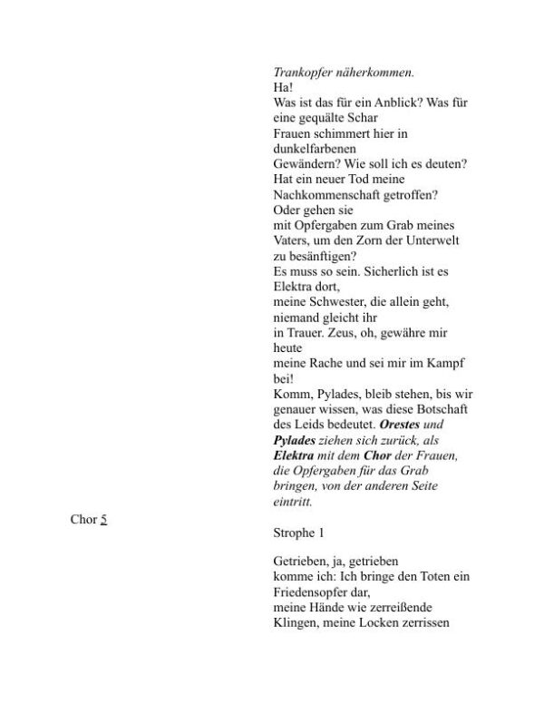 Die Trankopfer - Aeschylus (The Libation Bearers - Deutsch) - Image 2