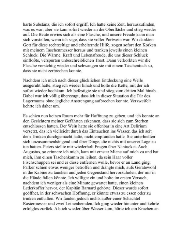 Die Erzählung von Arthur Gordon Pym aus Nantucket - Edgar Allan Poe (The Narrative of Arthur Gordon Pym of Nantucket - Deutsch) - Image 2