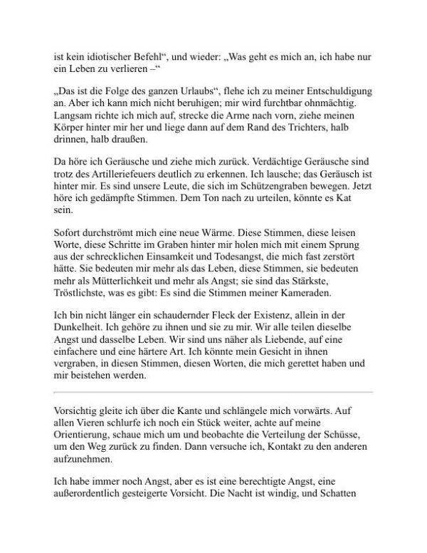 Im Westen nichts Neues - Erich Maria Remarque (All Quiet on the Western Front - Deutsch) - Image 2