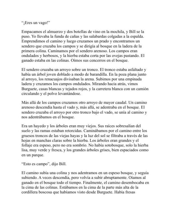 El sol también sale - Ernest Hemingway (The Sun Also Rises - Espanol) - Image 2