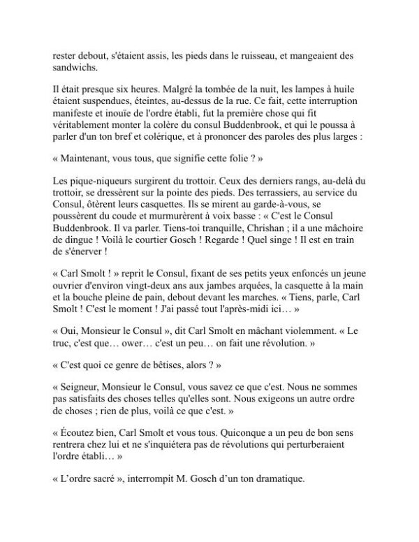 Buddenbrook - Thomas Mann (Buddenbrooks - Francais) - Image 2