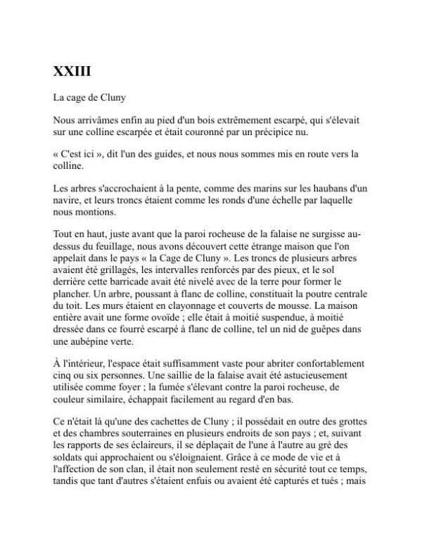Kidnappé - Robert Louis Stevenson (Kidnapped - Francais) - Image 2