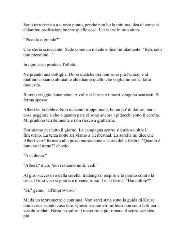 Niente di nuovo sul fronte occidentale - Erich Maria Remarque (All Quiet on the Western Front - Italiano) - Image 2
