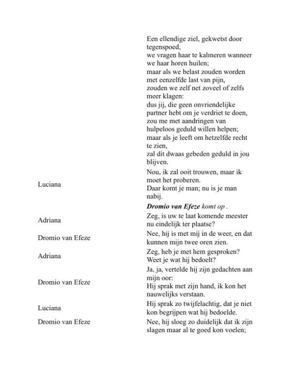 De komedie van fouten - William Shakespeare (The Comedy of Errors - Nederlands) - Image 2