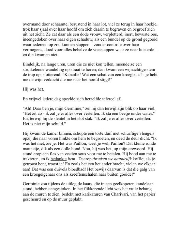 Germinie Lacerteux - Edmond de Goncourt (Germinie Lacerteux - Nederlands) - Image 2