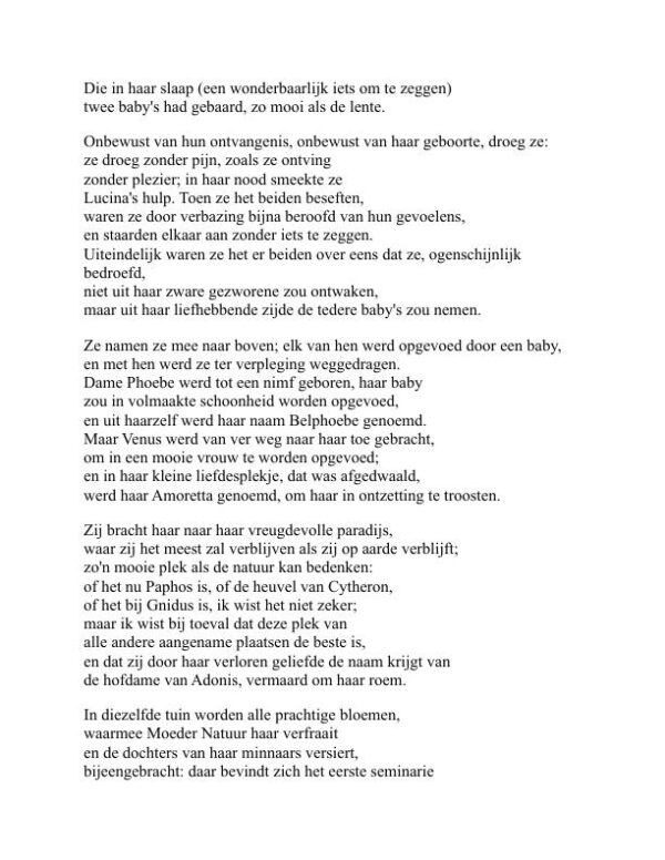 De feeënkoningin - Edmund Spenser (The Faerie Queene - Nederlands) - Image 2