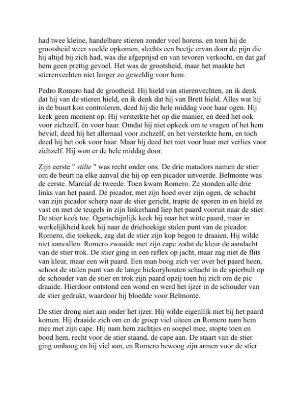De zon komt ook op - Ernest Hemingway (The Sun Also Rises - Nederlands) - Image 2