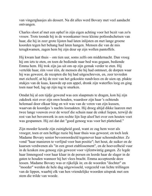 Mevrouw Bovary - Gustave Flaubert (Madame Bovary - Nederlands) - Image 2