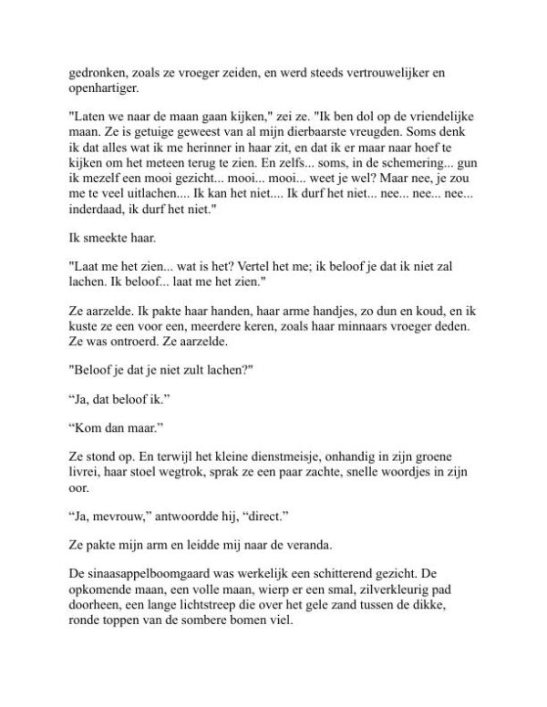 Kort Verhaal - Guy de Maupassant (Short Fiction - Nederlands) - Image 2