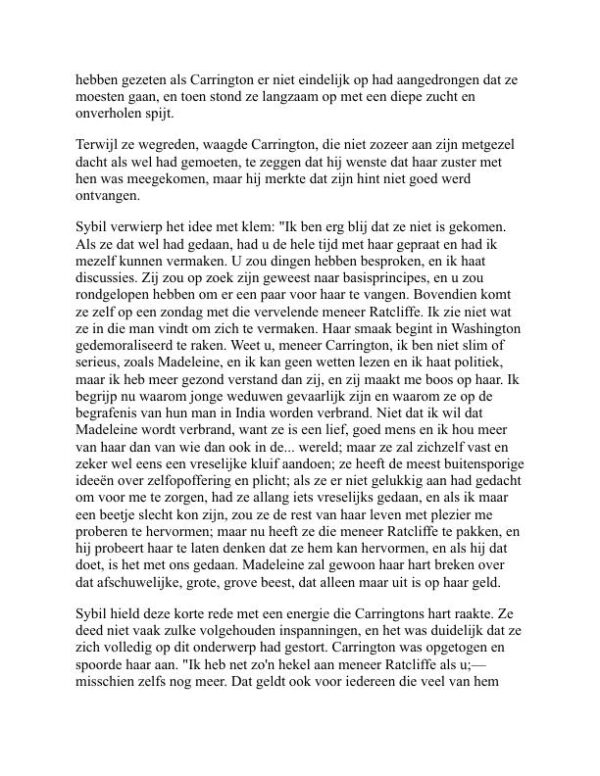 Democratie - Henry Adams (Democracy - Nederlands) - Image 2