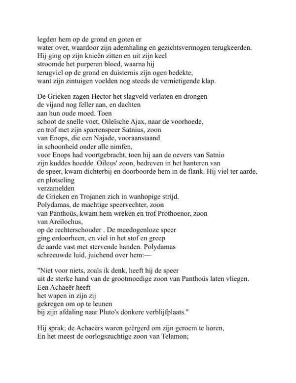 De Ilias - Homer (The Iliad - Nederlands) - Image 2