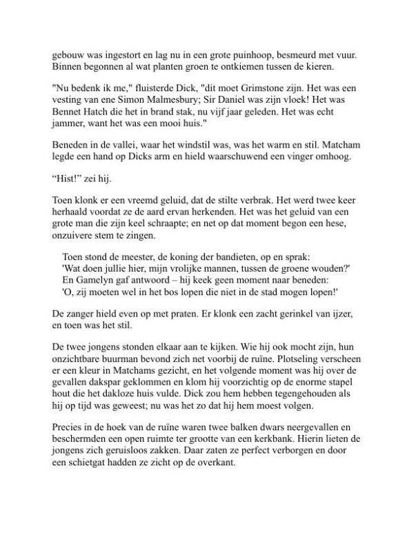 De Zwarte Pijl - Robert Louis Stevenson (The Black Arrow - Nederlands) - Image 2