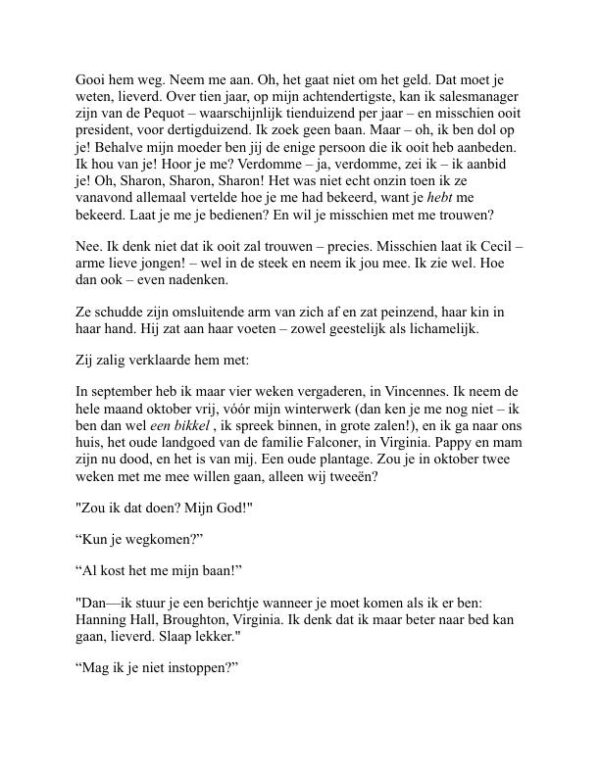 Elmer Gantry - Sinclair Lewis (Elmer Gantry - Nederlands) - Image 2