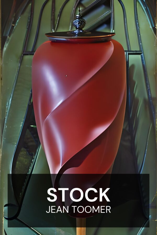 Stock - Jean Toomer (Cane - Deutsch)