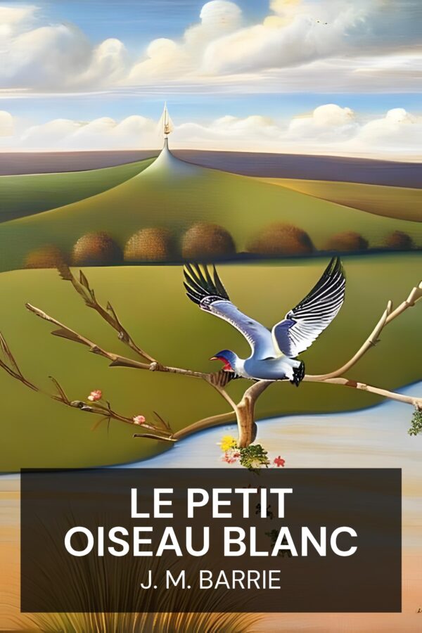 Le petit oiseau blanc - J. M. Barrie (The Little White Bird - Francais)
