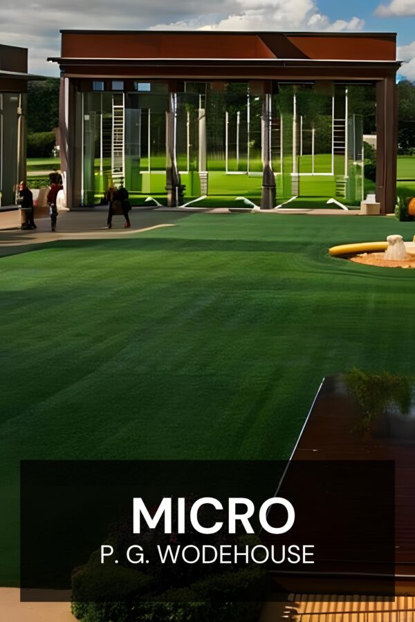 Micro - P. G. Wodehouse (Mike - Francais)