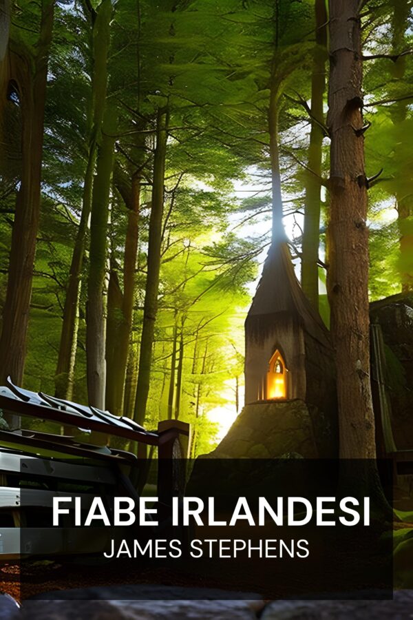 Fiabe irlandesi - James Stephens (Irish Fairy Tales - Italiano)