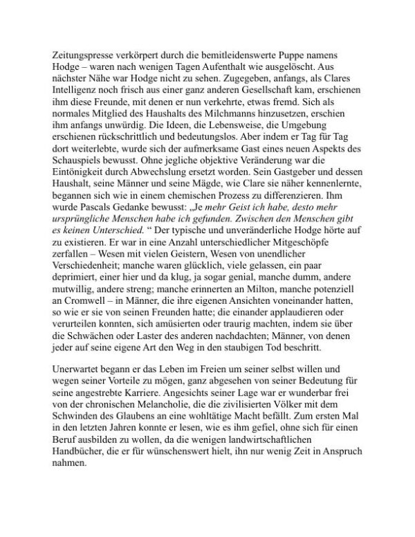 Tess von den d'Urbervilles - Thomas Hardy (Tess of the d’Urbervilles - Deutsch) - Image 2