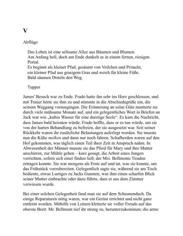 Unser Nig - Harriet E. Wilson (Our Nig - Deutsch) - Image 2