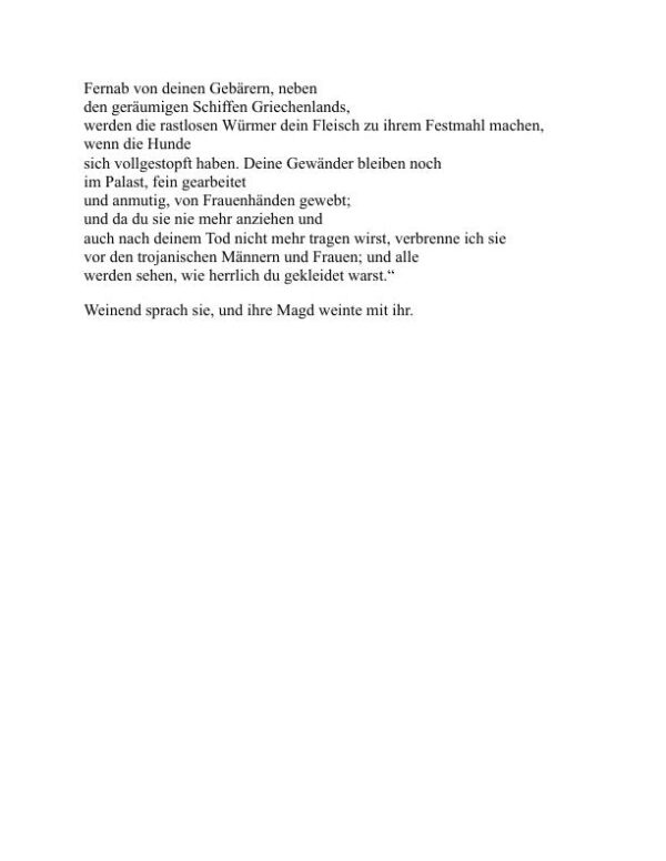 Die Ilias - Homer (The Iliad - Deutsch) - Image 2