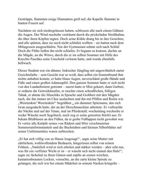 Kurzgeschichten - Ivan Bunin (Short Fiction - Deutsch) - Image 2