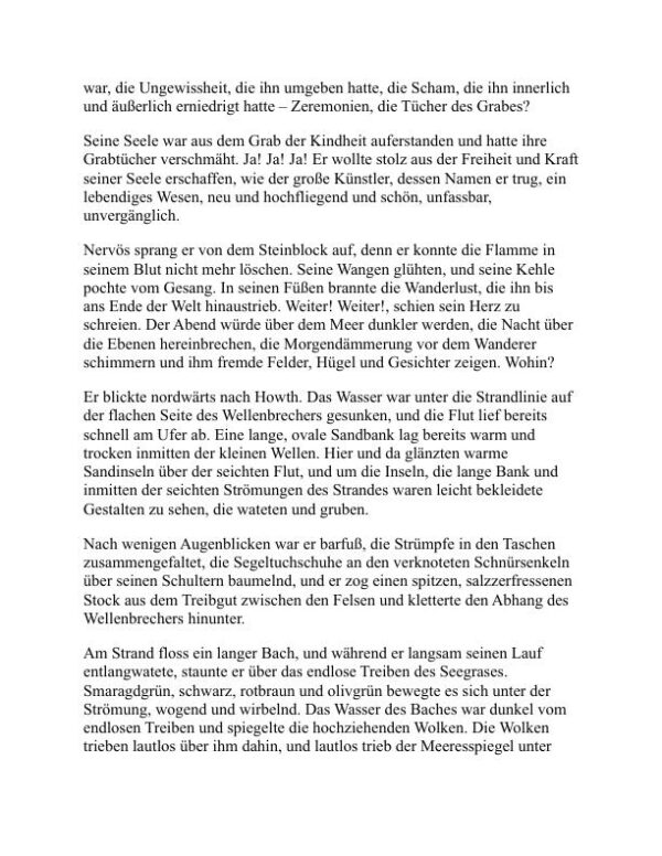 Ein Porträt des Künstlers als junger Mann - James Joyce (A Portrait of the Artist as a Young Man - Deutsch) - Image 2