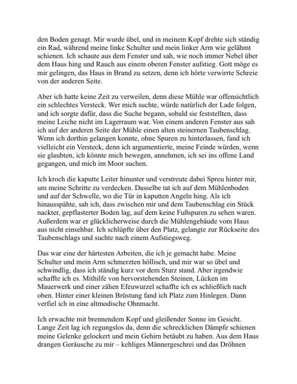 Die neununddreißig Schritte - John Buchan (The Thirty-Nine Steps - Deutsch) - Image 2