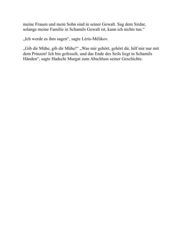 Hadji Murád - Leo Tolstoy (Hadji Murád - Deutsch) - Image 2