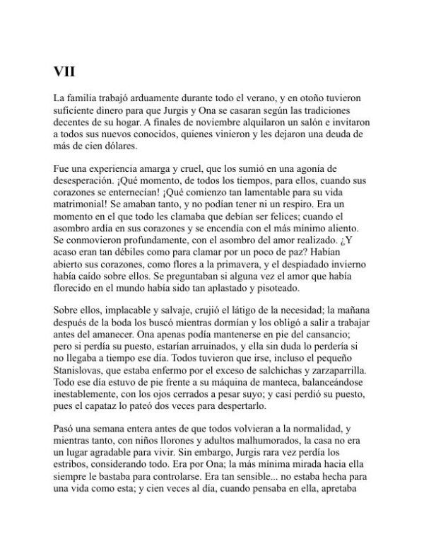 La jungla - Upton Sinclair (The Jungle - Espanol) - Image 2