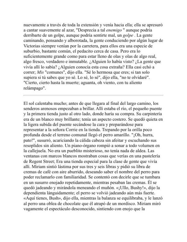 Panal - Dorothy M. Richardson (Honeycomb - Espanol) - Image 2