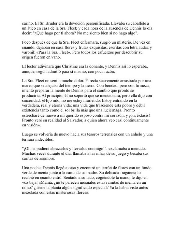 Barreras quemadas - Edward Payson Roe (Barriers Burned Away - Espanol) - Image 2