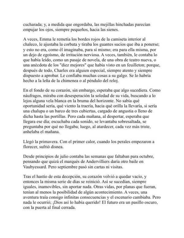 Madame Bovary - Gustave Flaubert (Madame Bovary - Espanol) - Image 2