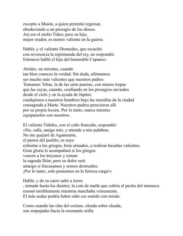 La Ilíada - Homer (The Iliad - Espanol) - Image 2