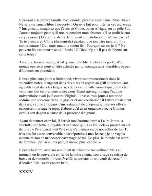 Regarde vers la maison, ange - Thomas Wolfe (Look Homeward, Angel - Francais) - Image 2