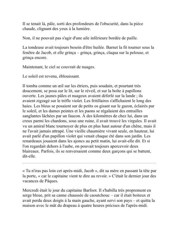La chambre de Jacob - Virginia Woolf (Jacob’s Room - Francais) - Image 2