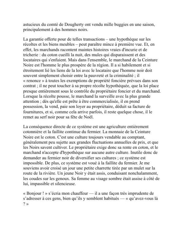 Les âmes du peuple noir - W. E. B. Du Bois (The Souls of Black Folk - Francais) - Image 2