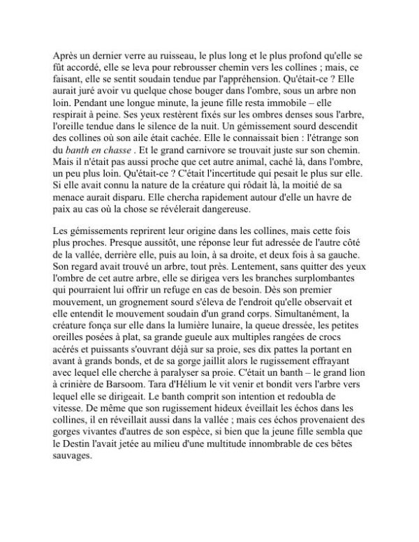 Les pièces d'échecs de Mars - Edgar Rice Burroughs (The Chessmen of Mars - Francais) - Image 2