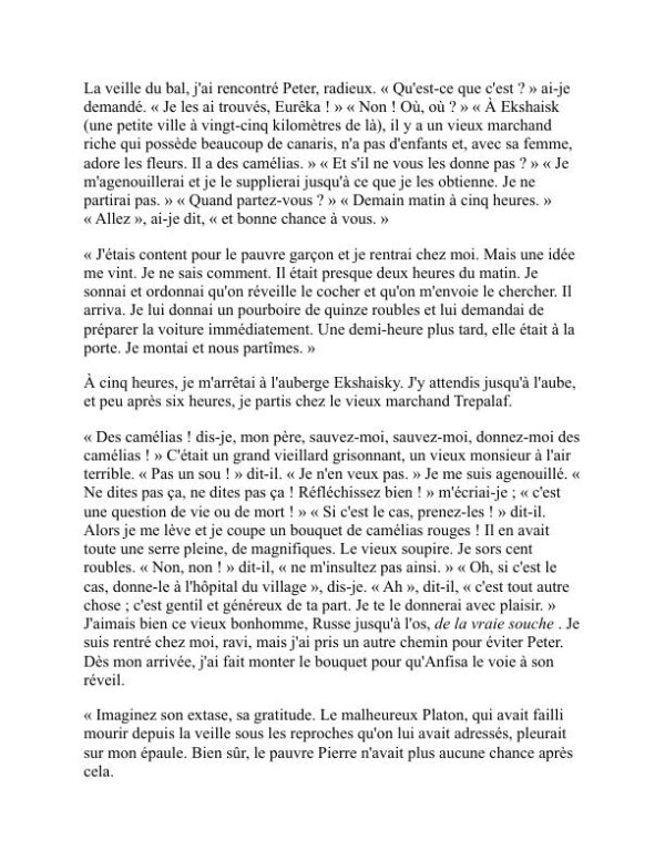 L'idiot - Fyodor Dostoevsky (The Idiot - Francais) - Image 2