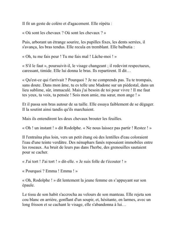 Madame Bovary - Gustave Flaubert (Madame Bovary - Francais) - Image 2