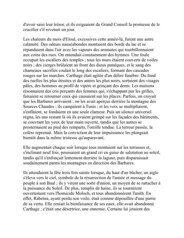 Salammbô - Gustave Flaubert (Salammbô - Francais) - Image 2