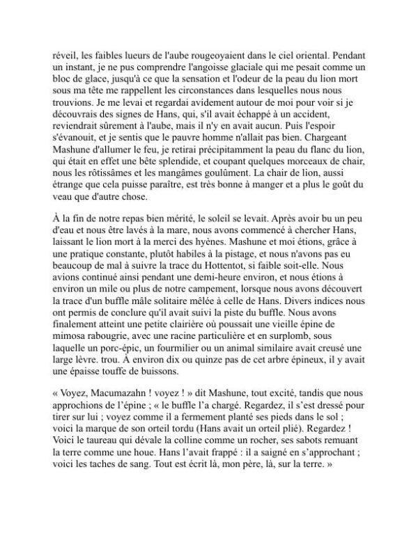 Histoires d'Allan Quatermain - H. Rider Haggard (Allan Quatermain Stories - Francais) - Image 2