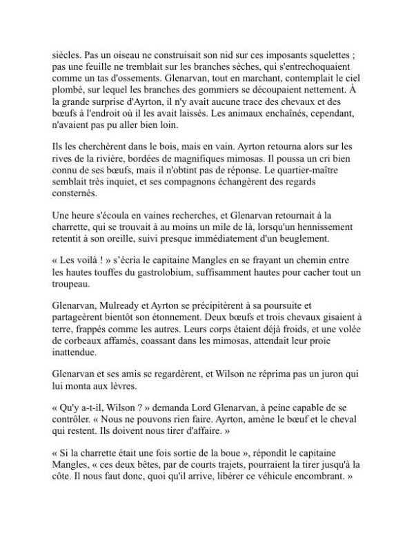 À la recherche des naufragés - Jules Verne (In Search of the Castaways - Francais) - Image 2