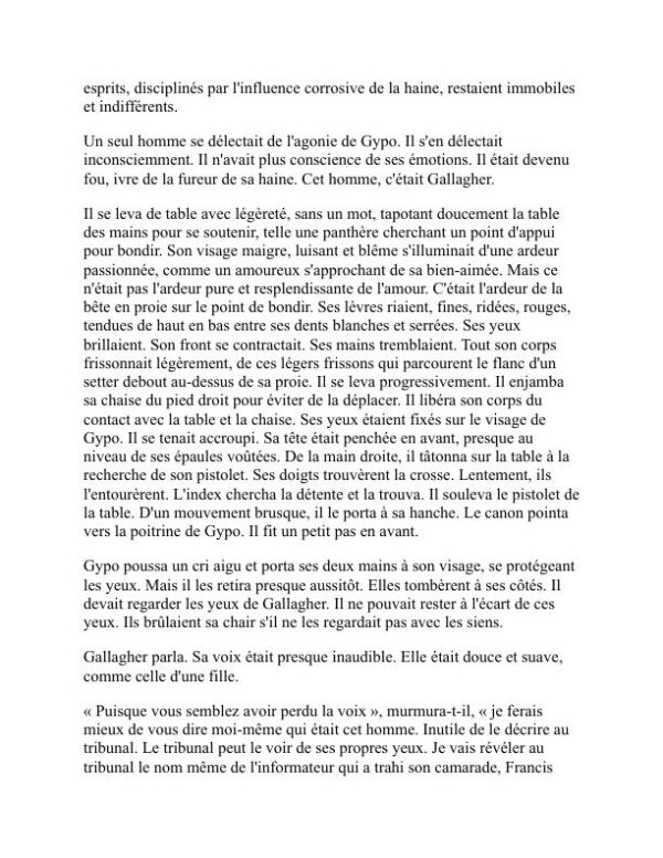 L'informateur - Liam O’Flaherty (The Informer - Francais) - Image 2