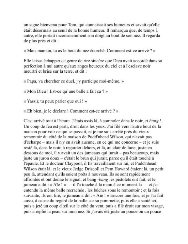 Pudd'nhead Wilson - Mark Twain (Pudd’nhead Wilson - Francais) - Image 2