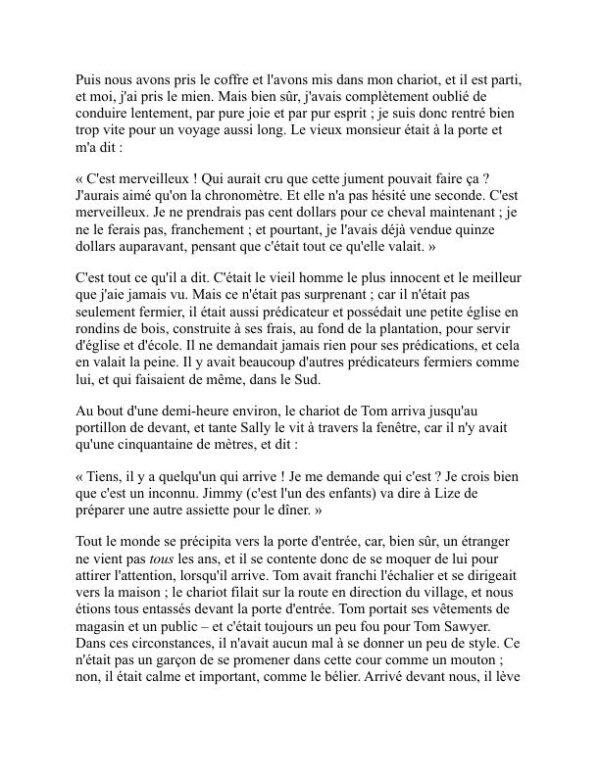 Les aventures de Huckleberry Finn - Mark Twain (The Adventures of Huckleberry Finn - Francais) - Image 2