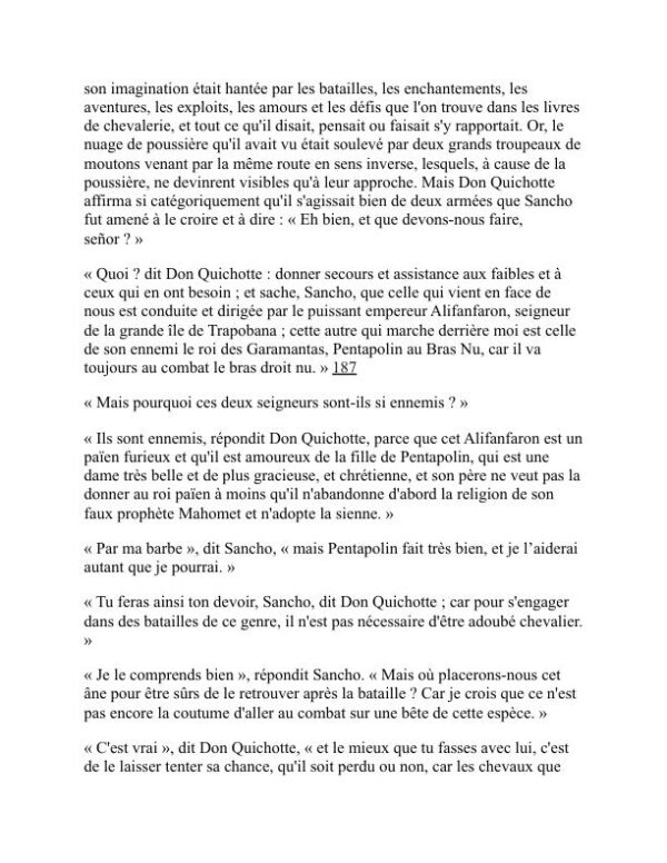 don Quichotte - Miguel de Cervantes Saavedra (Don Quixote - Francais) - Image 2
