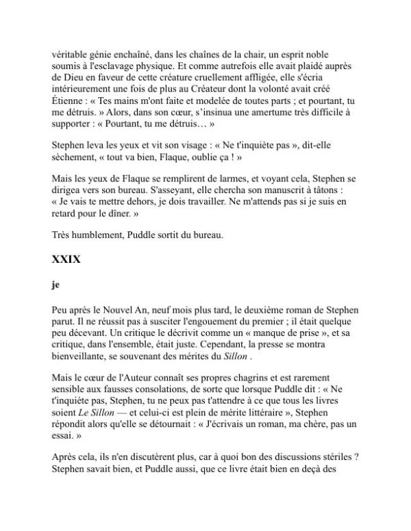Le puits de la solitude - Radclyffe Hall (The Well of Loneliness - Francais) - Image 2