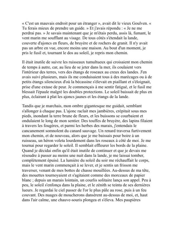 Le Roi en Jaune - Robert W. Chambers (The King in Yellow - Francais) - Image 2