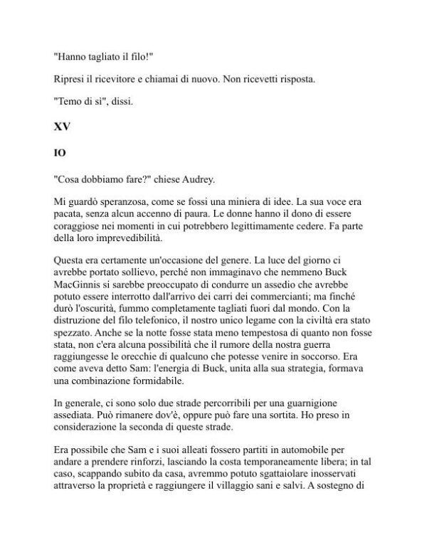 La piccola pepita - P. G. Wodehouse (The Little Nugget - Italiano) - Image 2